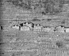 Agricoltura e zootecnia alpine in crisi