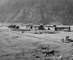 Agricoltura e zootecnia alpine in crisi