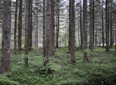 Agricoltura e zootecnia alpine in crisi