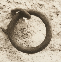 Carenza di visibilità e rischi del localismo