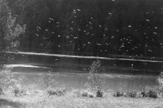 Industria, commercio e turismo minacciati