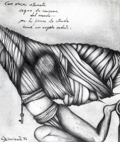 Ombre della vita associata