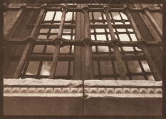 Ombre della vita associata