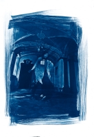 Ombre della vita associata