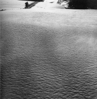 Ombre della vita associata