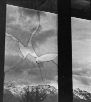 Ombre della vita associata