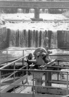 La novità elettrica