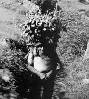 Momenti di vita familiare e sociale