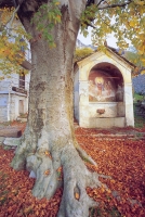 Testimonianze di Fede