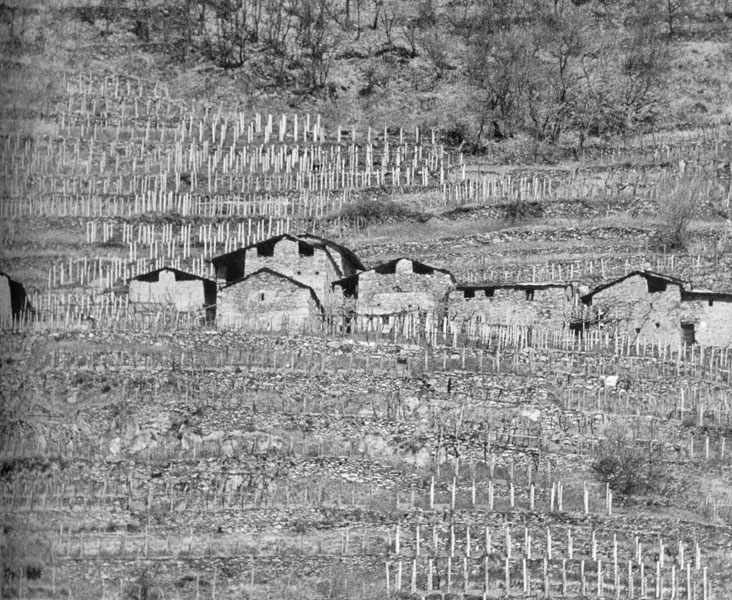 Agricoltura e zootecnia alpine in crisi