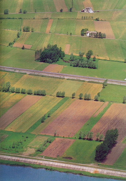 Agricoltura e zootecnia alpine in crisi
