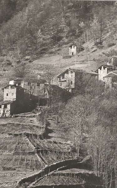 Agricoltura e zootecnia alpine in crisi