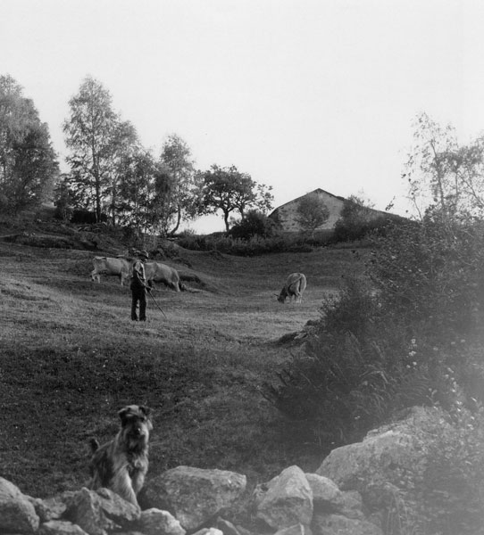 Episodi di vita in Montagna