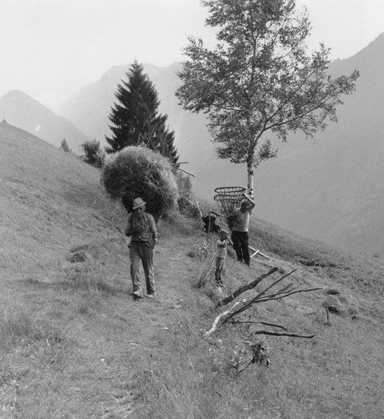 Episodi di vita in Montagna