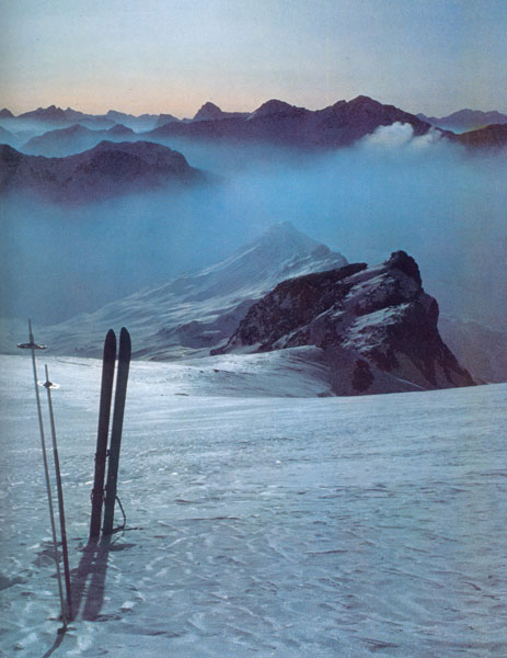 Industria, commercio e turismo minacciati