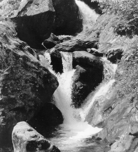 La novità elettrica