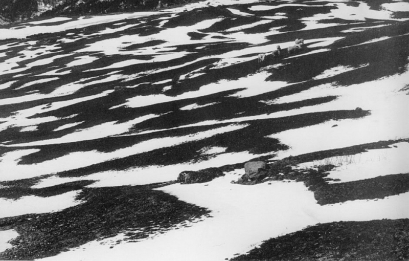 L'identità è una realtà complessa