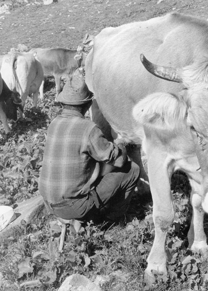 Momenti di vita familiare e sociale