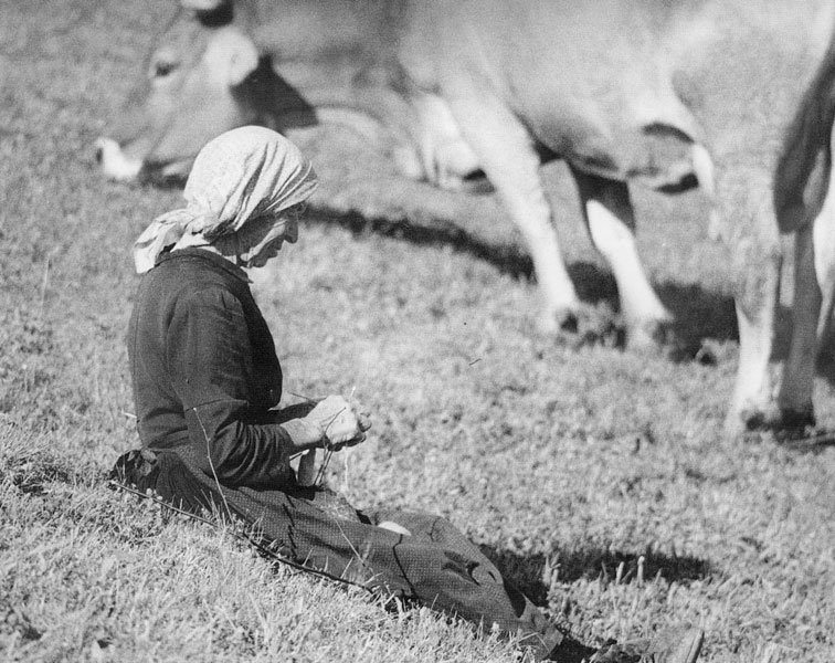 Momenti di vita familiare e sociale