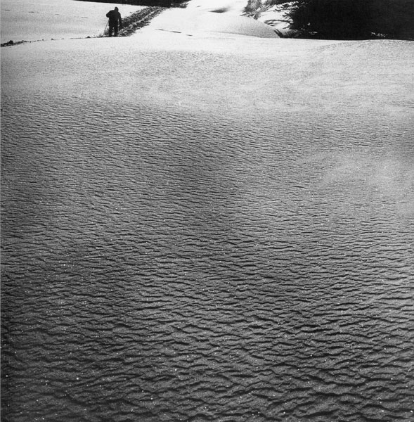 Ombre della vita associata