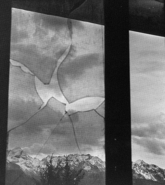 Ombre della vita associata