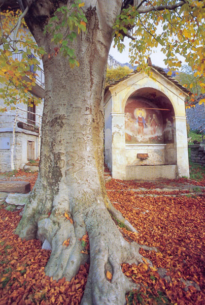 Testimonianze di Fede